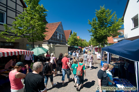 fischerkreidag-2011-steinhude-8028-480